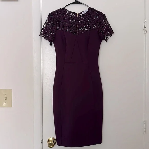 chinese dress ladies Calvin Klein Women's Flutter Sleeved Sheath Dress, Aubergine/Black, 2 at  Amazon Women's Clothing store main image 0